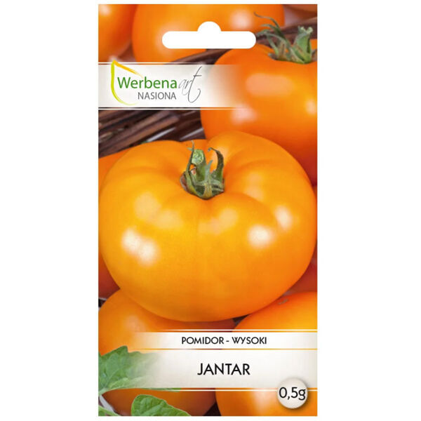 马鞭草高番茄 Jantar 0.5G